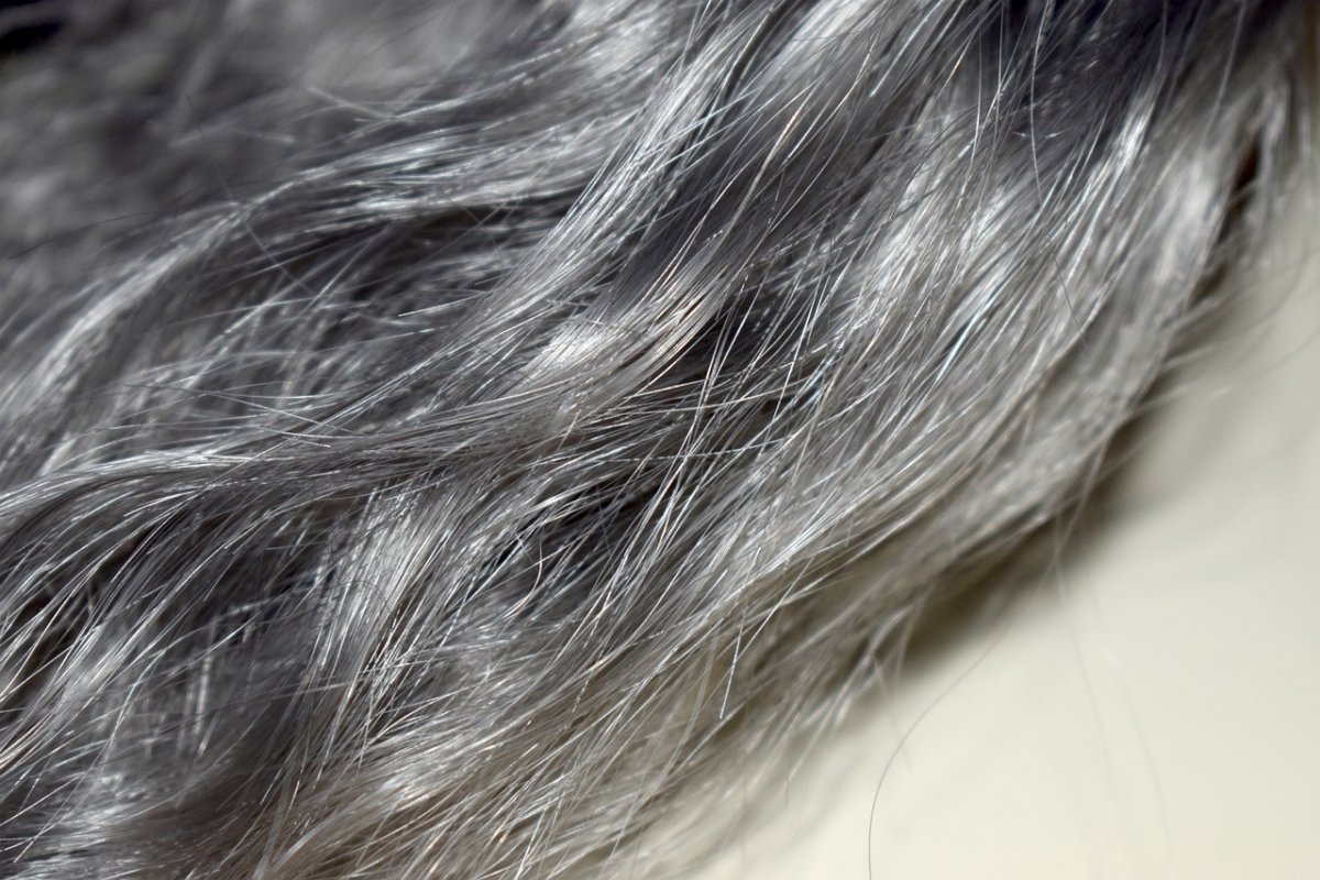 gray hair