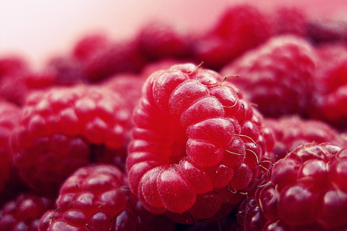 A nutritionist named a berry that effectively burns dangerous belly fat