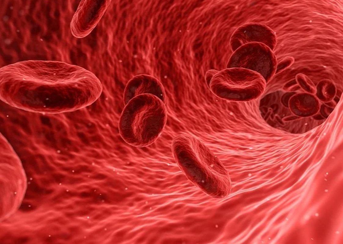 blood cells