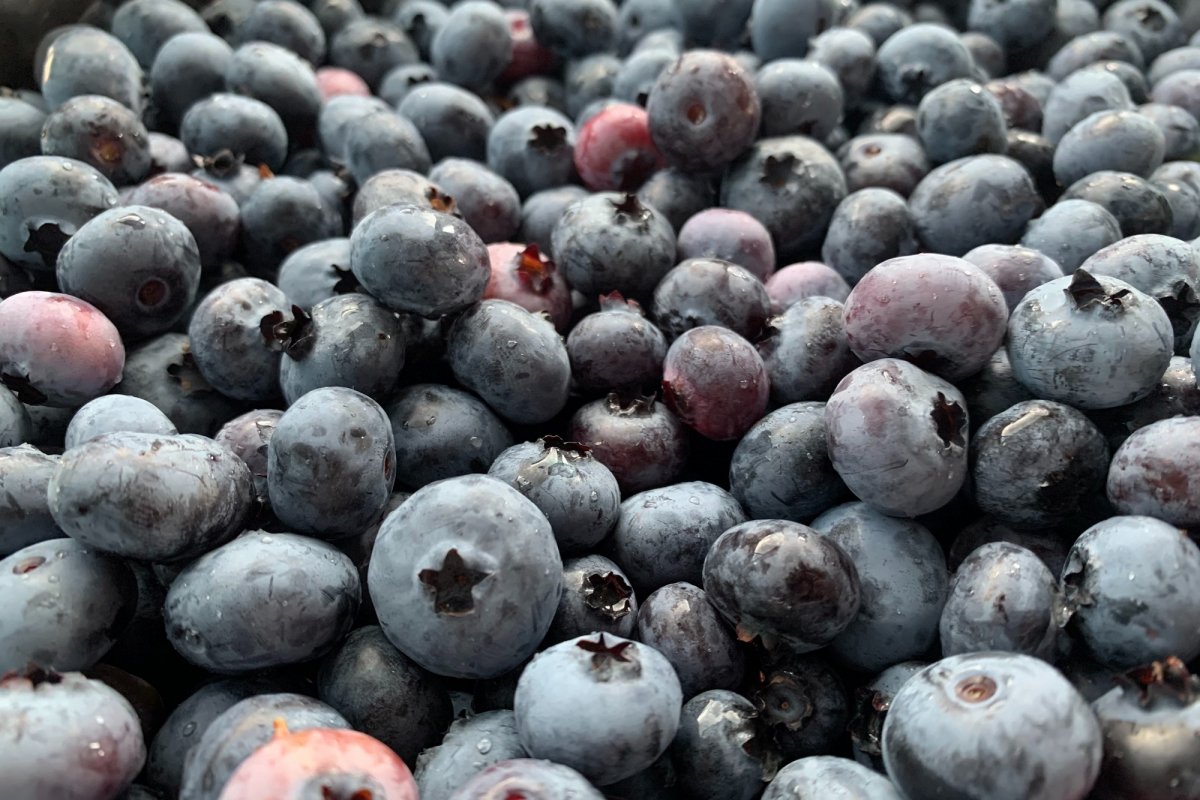 blueberries