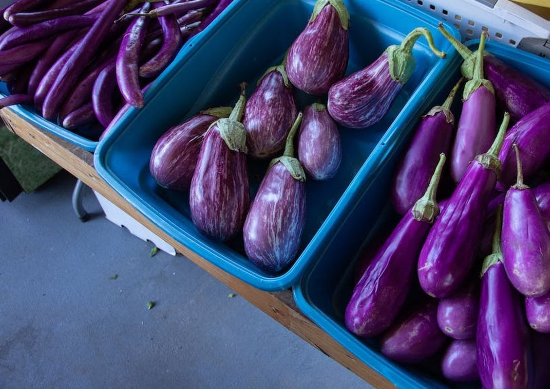 eggplants