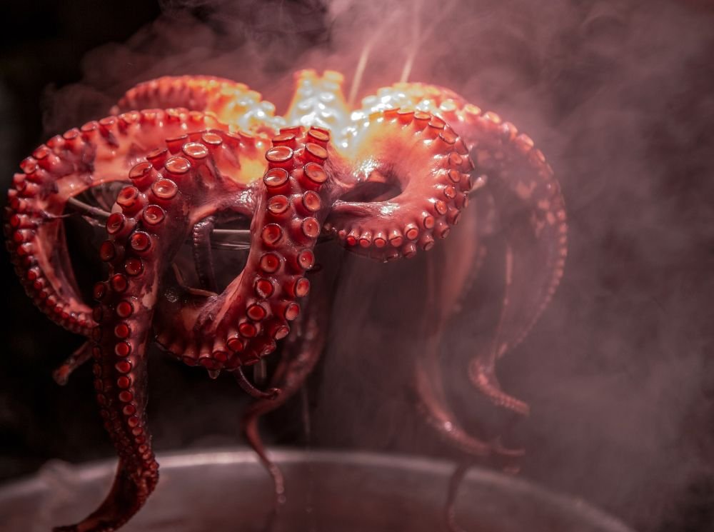 Malignant melanoma will be cured by octopus venom