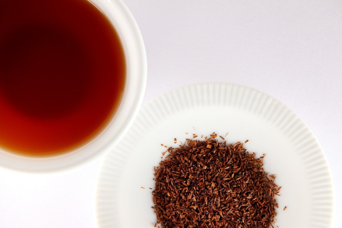 Rooibos can 