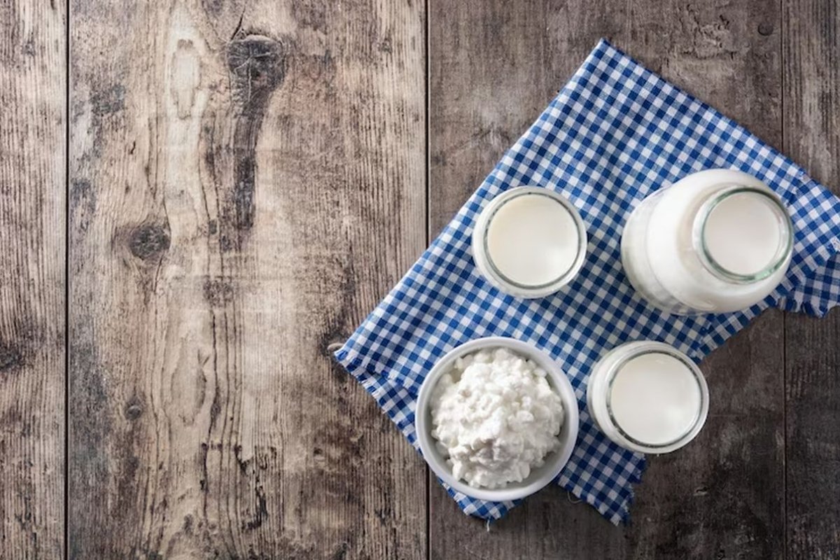 fermented milk products