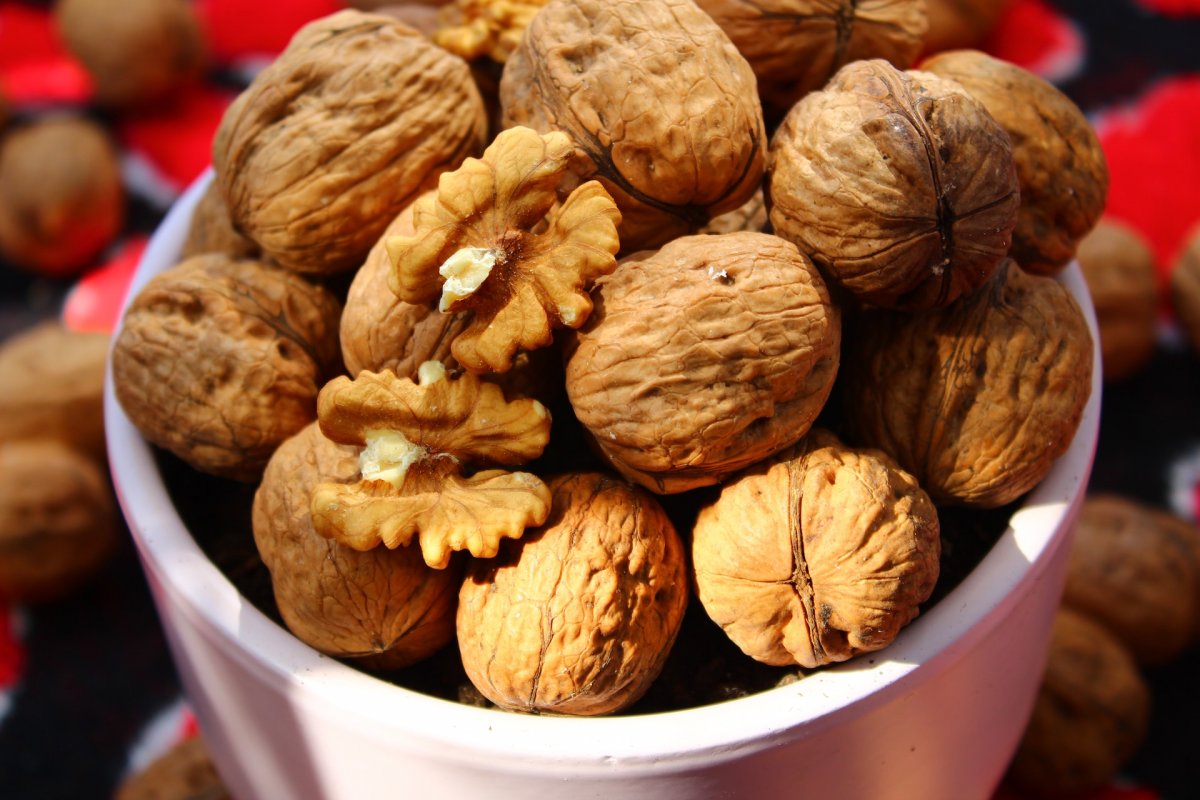 Nutitian Ponomareva: a handful of walnuts lowers cholesterol in a few weeks