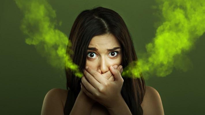 Probiotics in the treatment of halitosis