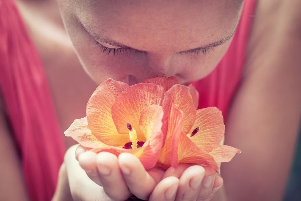 the fragrance of flowers