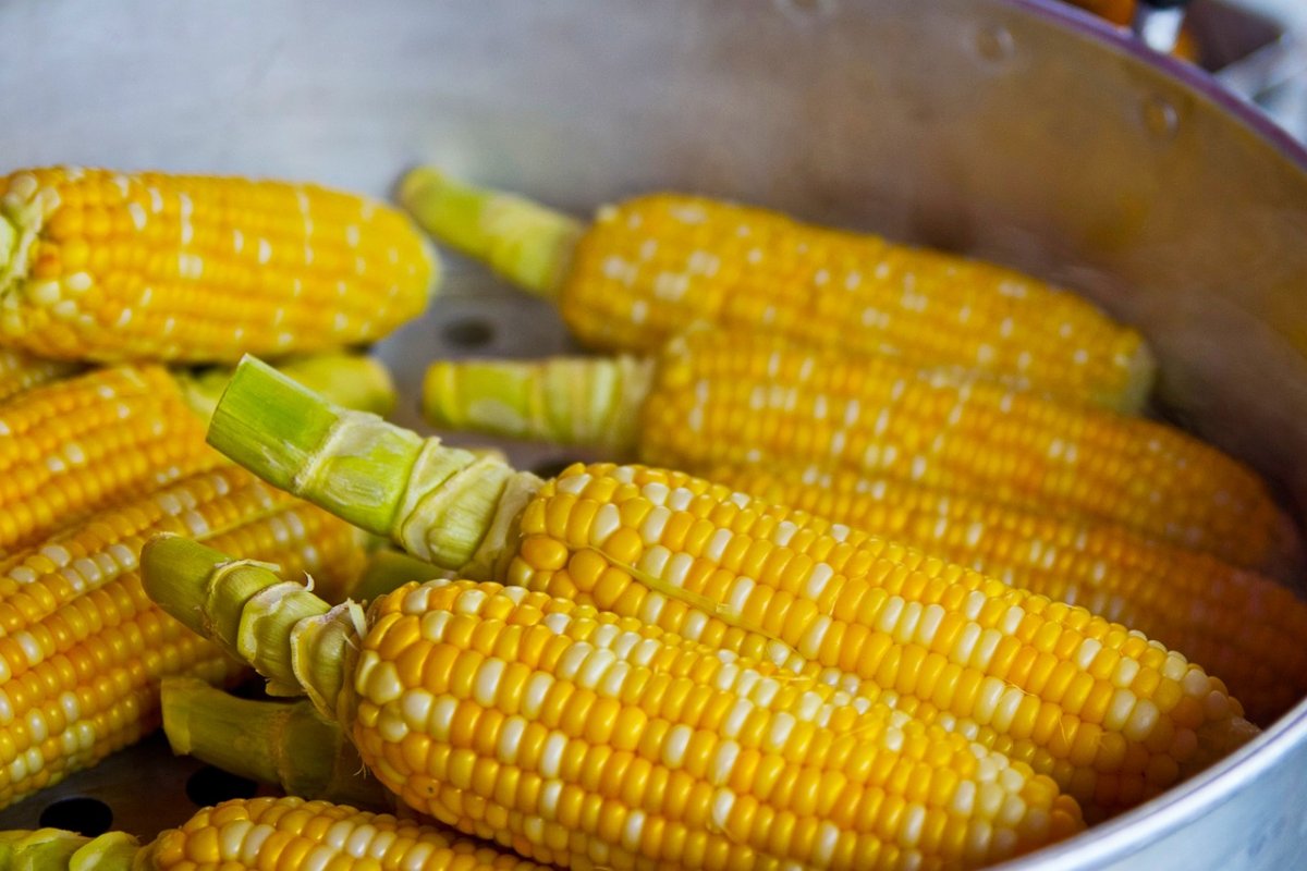 Nutitian Ponomareva named 5 useful properties of corn