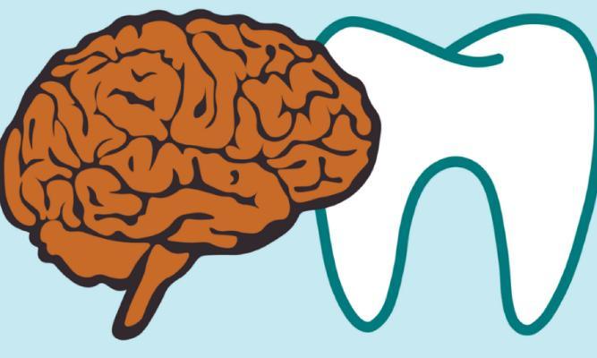 New data suggest a possible link between brain function and oral health