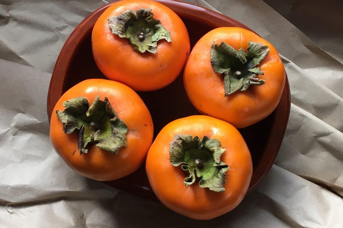 persimmon