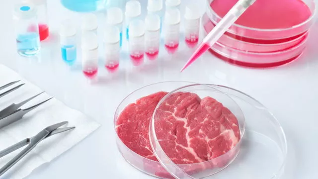 Scientists question health claims of meat substitutes