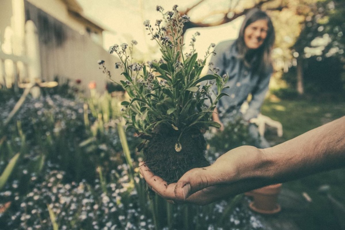 work in the garden