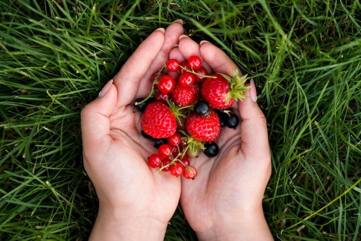 berries