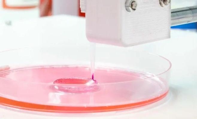 The 3D bioprinting revolution in the field tissue regeneration