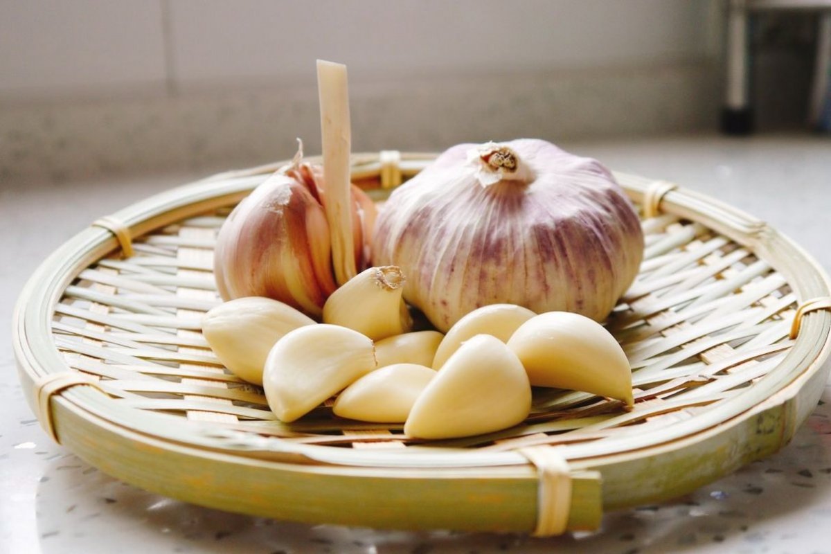 garlic