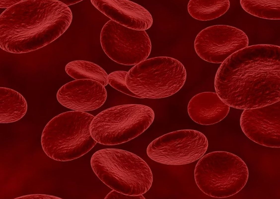 blood cells