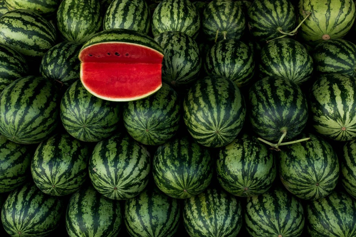 watermelons