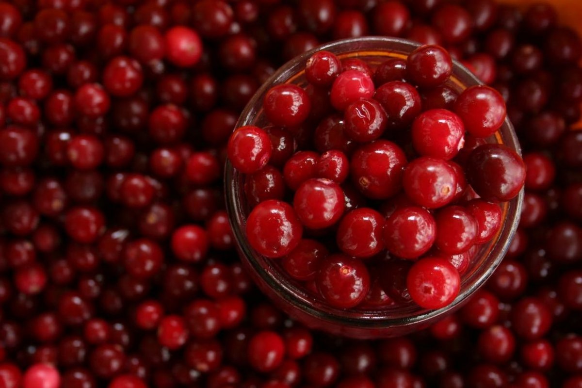 cranberry